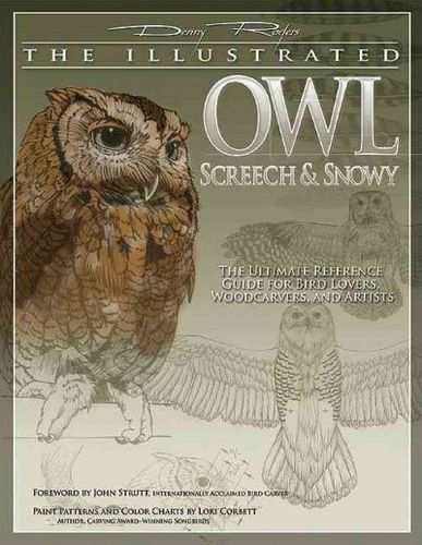 The Illustrated Owlillustrated 