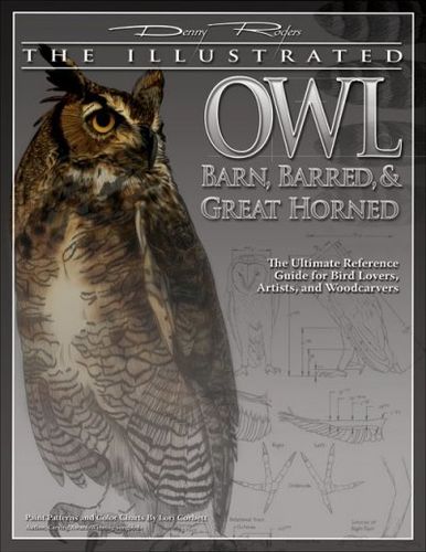 The Illustrated Owlillustrated 