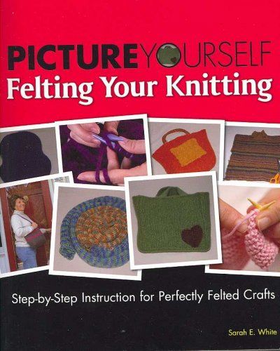 Picture Yourself Felting Your Knittingpicture 