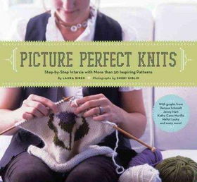 Picture Perfect Knitspicture 