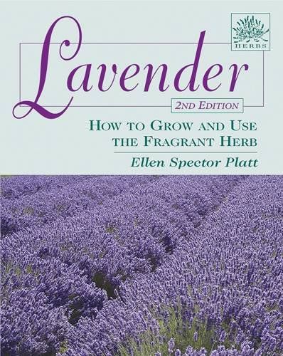 Lavenderlavender 