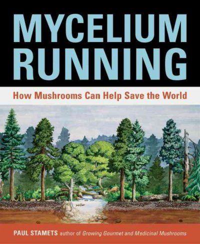 Mycelium Runningmycelium 