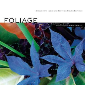 Foliagefoliage 