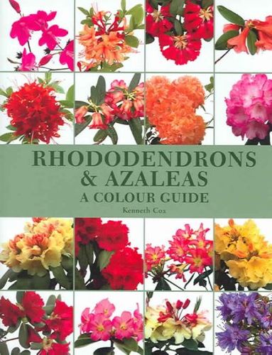 Rhododendrons & Azaleasrhododendrons 