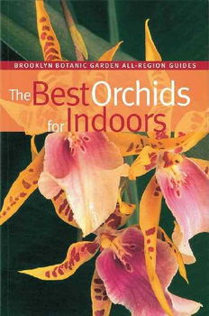 The Best Orchids for Indoorsorchids 