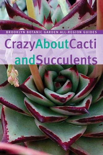 Crazy About Cacti and Succulentscrazy 