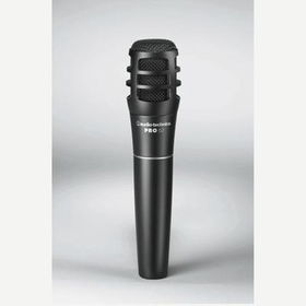 Cardioid Dynam handheld/stan mcardioid 