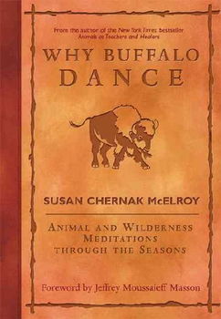 Why Buffalo Dancebuffalo 