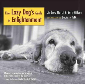 The Lazy Dog's Guide to Enlightenmentlazy 