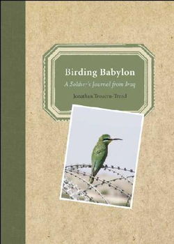 Birding Babylonbirding 