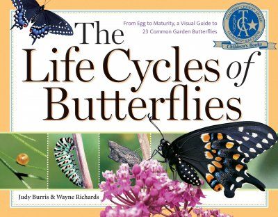 The Life Cycles of Butterflieslife 