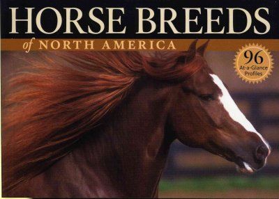 Horse Breeds of North Americahorse 