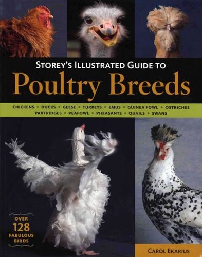 Storey's Illustrated Guide to Poultry Breedsstorey 