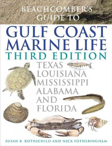 Beachcomber's Guide to Gulf Coast Marine Lifebeachcomber 