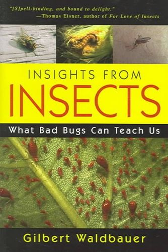 Insights From Insectsinsights 