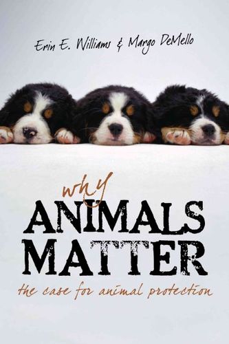 Why Animals Matteranimals 