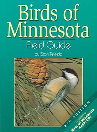 Birds Of Minnesotabirds 