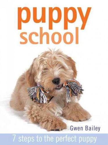 Puppy Schoolpuppy 