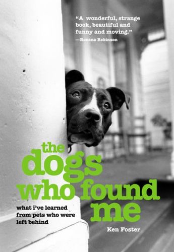 The Dogs Who Found Medogs 