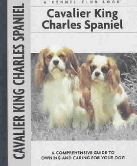 Cavalier King Charles Spanielcavalier 