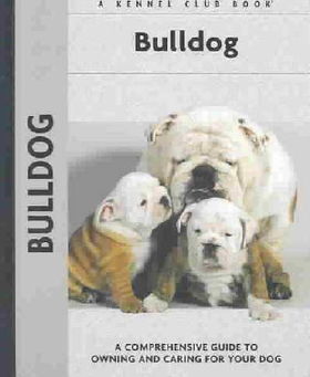 Bulldogbulldog 