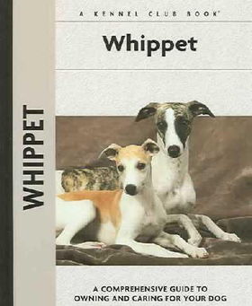 Whippetwhippet 