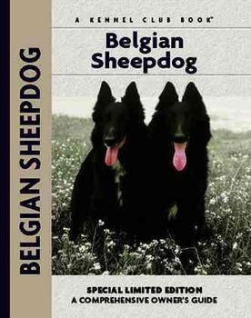 Belgian Sheepdogbelgian 