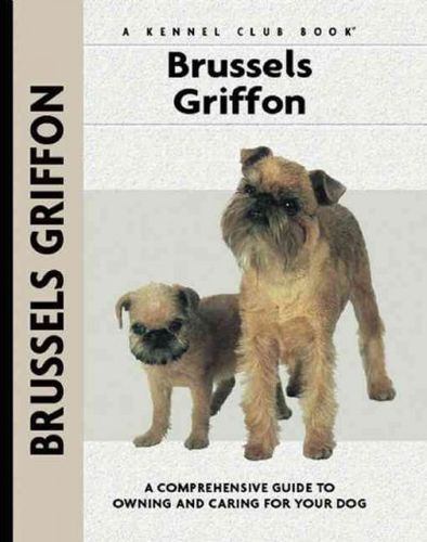 Brussels Griffonbrussels 