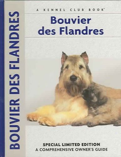 Bouvier Des Flandresbouvier 