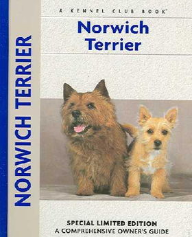 Norwich Terriernorwich 