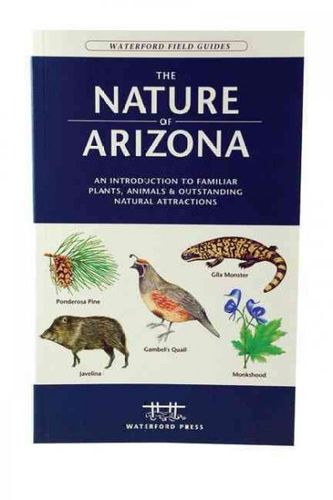 The Nature Of Arizonanature 