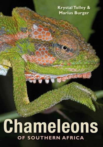 Chameleons of Southern Africachameleons 