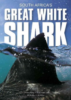 South Africa's Great White Sharksouth 