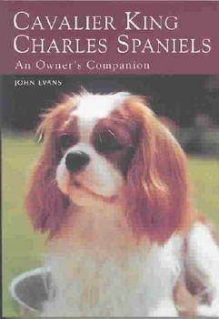 Cavalier King Charles Spanielscavalier 