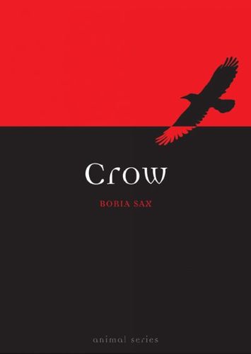 Crowcrow 