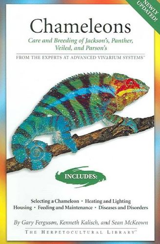 Chameleonschameleons 