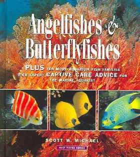 Angelfishes & Butterflyfishesangelfishes 