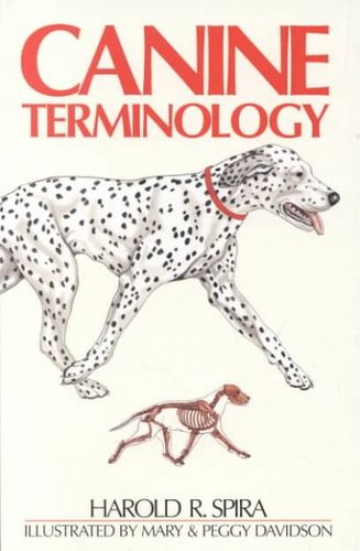 Canine Terminologycanine 