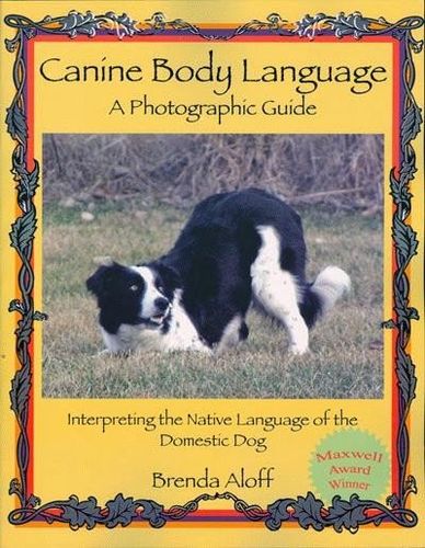 Canine Body Languagecanine 