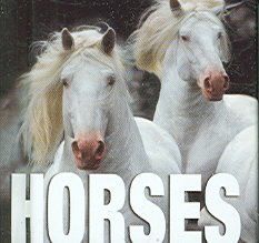 Horseshorses 