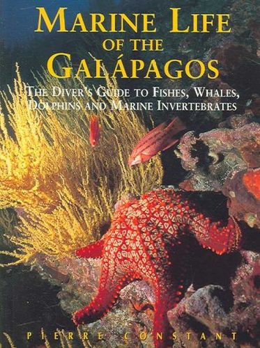 Marine Life of the Galapagosmarine 