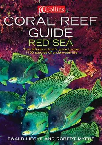 Coral Reef Guide Red Seacoral 