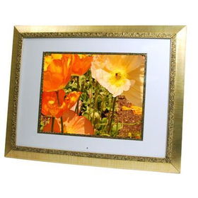 17 Digital PhotoFrame Gold