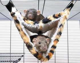 Large - Deluxe Fur Ferret Tube Hammockfur 