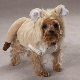 Casual Canine Lil' Lion Costumescasual 