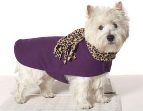 Purple - Leopard Scarf Blanket Coatpurple 