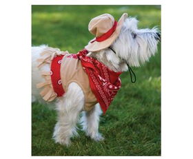 Cutesy Cowgirl Costumecutesy 