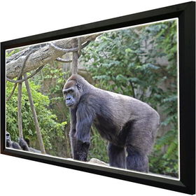 Luminary 80" Diagonal, 16:9 Framed Wall Screenluminary 