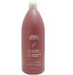 BACK TO BASICS by Graham Webb VANILLA PLUM FORTIFYING SHAMPOO FOR WEAK HAIR 33.8 OZbasics 