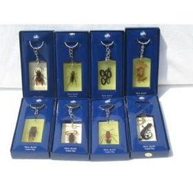 Real Insects - Key Chains Case Pack 120real 